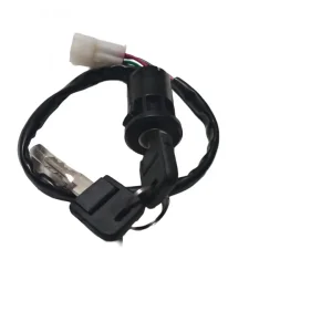 Chave de Ignição MXF 250RX / 300 RXS - Original MXF - Spinelli